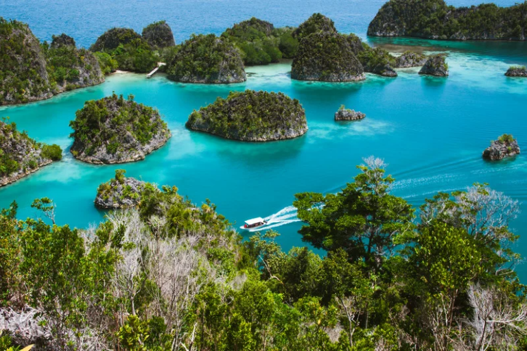 pmt-tourpackge-raja-ampat